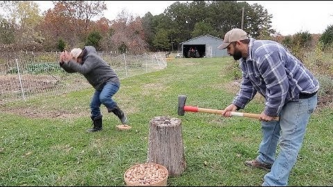 How to Crack HICKORY Nuts (HILARIOUS!!!)