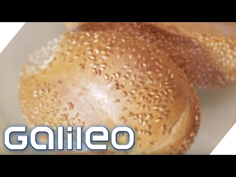 Sesam - Der Weg vom Feld auf das Brötchen | Galileo Lunch Break