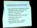 Функционализм как характерная черта...