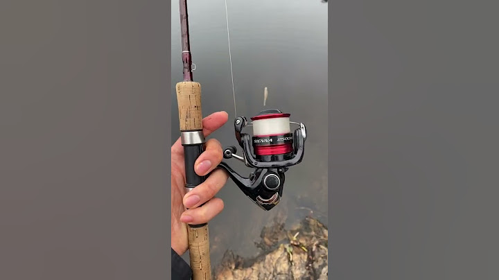 How to Fish (with No Experience)
