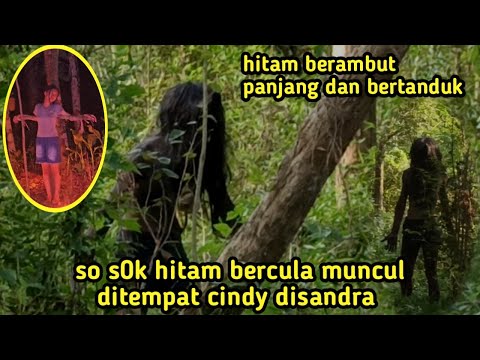 Video: Pencarian Gaya