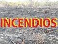LOS INCENDIOS Y SU IMPACTO EN EL AMBENTE