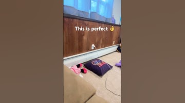 This is a perfect loop 🔁 #funny #filter #loop #endlessloop #perfectloop
