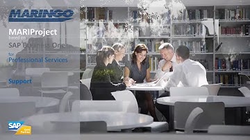 The Support Module of MARIProject based on SAP Business One