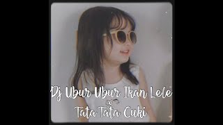 Dj Ubur Ubur Ikan Lele x Tata Tata Cuki - Dj Soul Remix | Nhạc Hot Remix TikTok