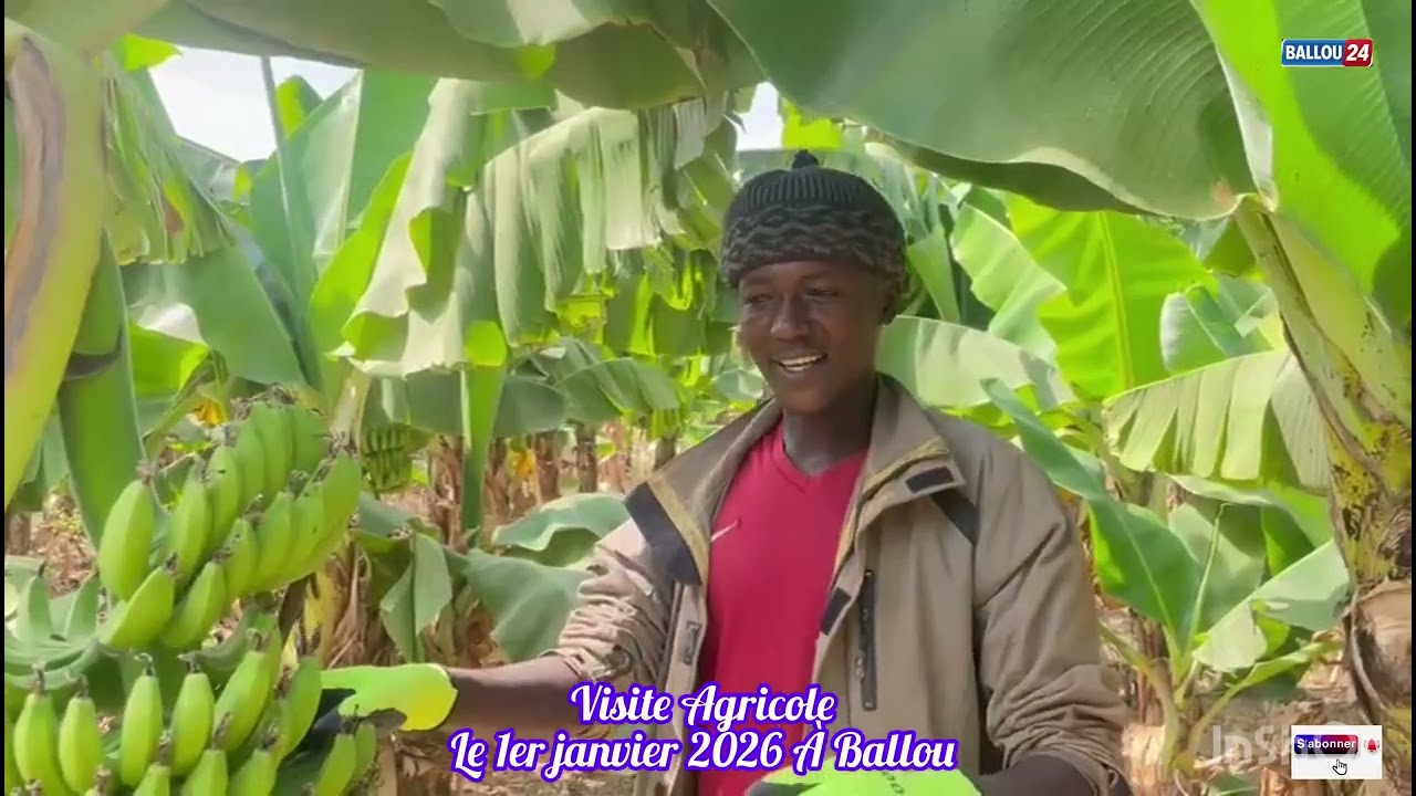 Visite Agricole à Ballou Le 1er janvier 2026