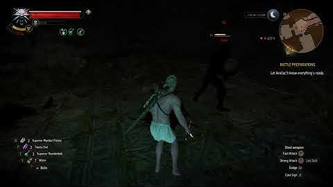 The Witcher 3 Instant kill even with wrong sword