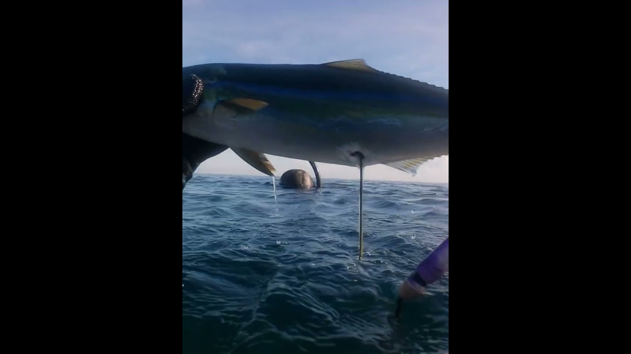 Full video manga ka adventures quick Dave sa morning 🌅