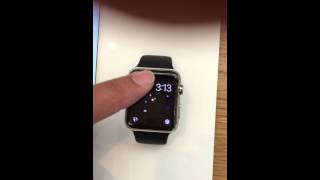 Apple Watch Opening Day