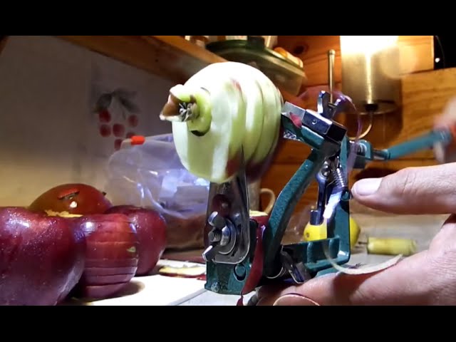 How to Use an Apple Slicer: 5 Creative Ideas Beyond Apples %%sep%%  %%sitename%%