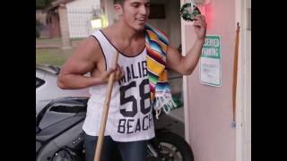 Cute Mexican Cat Dancing