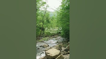 تلاوة 🌿✨🤍 #foryou #قرآن #funny #قران_كريم