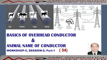 BASICS OF OVERHEAD LINE CONDUCTOR & NAMMED @ ANIMALS