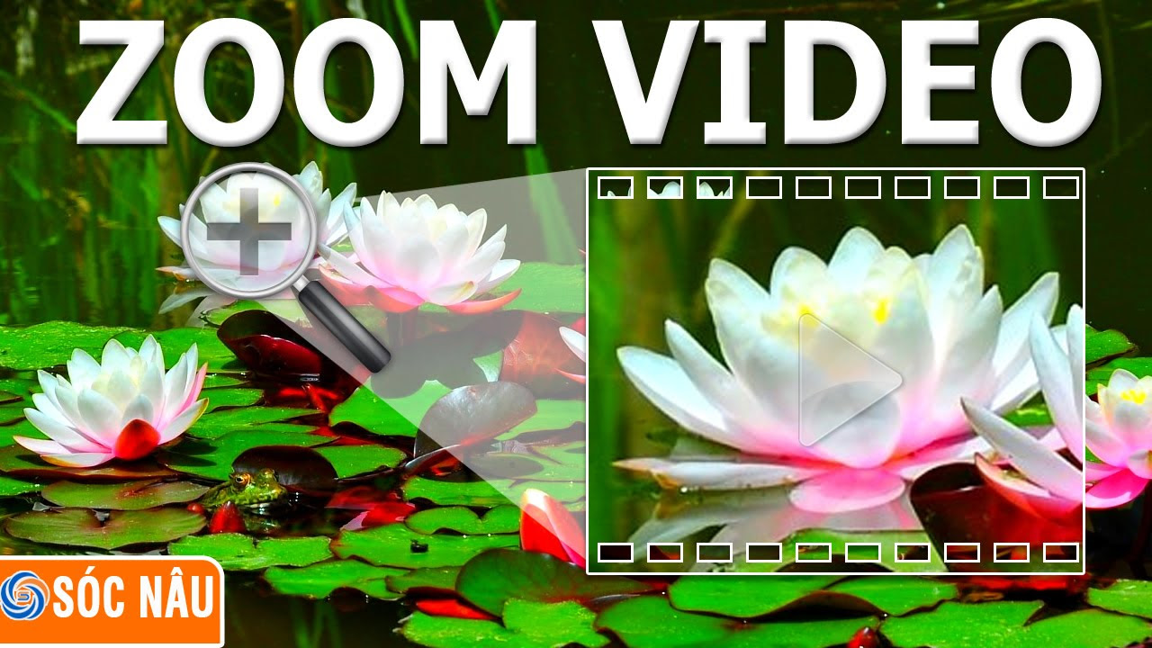 Thủ thuật video : Cách Zoom một chi tiết trong video - youtube