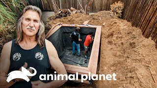 El Dr. Jeff construye una piscina y visita una granja | Dr. Jeff, Veterinario | Animal Planet