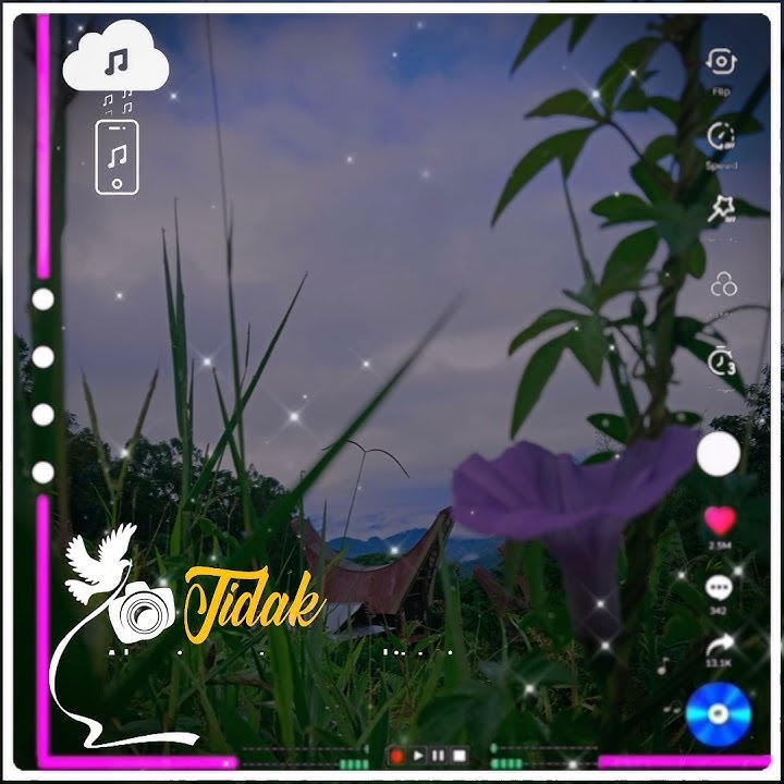 STORY WA TORAJA TERBARU #Subcribe#Like ni lee.