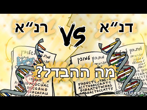 וִידֵאוֹ: מהי ספריית DNA גנומית?