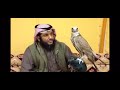 مشعل الحبيني الطير له في داخل القلب