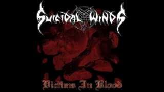 Watch Suicidal Winds Meaningless Life video