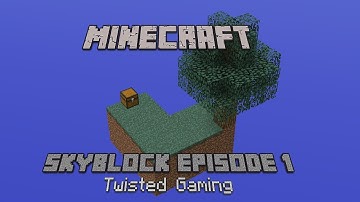 SkyBlock Episode 1 - Back To Basics.