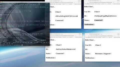 Push Notification in SAP Web Clients...