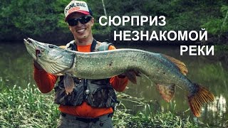 Тактика ловли щуки на незнакомой маленькой речке. видео Ловля щуки на реке