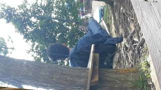 Tri amor trio(cover) mauliate ma hasian