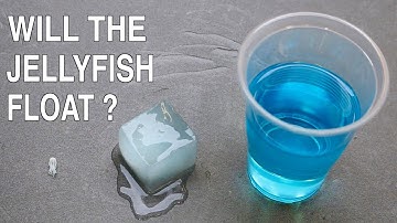 Can You Cast a Jellyfish in Ice in Epoxy Resin ?