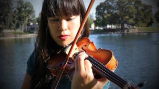 Spring - Tygenn AVL-300 Violin Cover