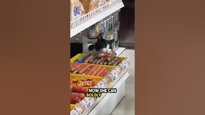 the cat thought she allowed her to take food, and then… 🥺