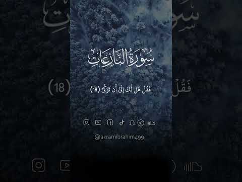 هل أتاك حديث موسى سورة النازعات