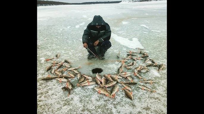 Mormyshka ice fishing, traditional russian ice fishing 2021