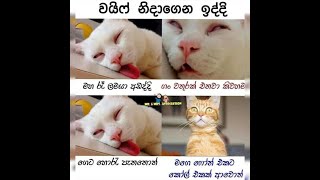 Fb Funny Post Sinhala Joke Post 20 Nittawa