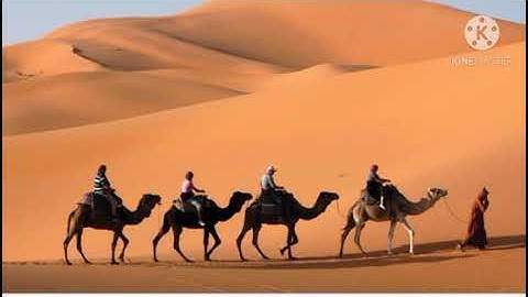 Std:6,Sub: English,Unit:2, Activity:5 The ship of desert