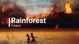 Tchami - Rainforest