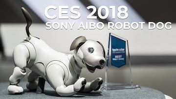 CES 2018 - Sony