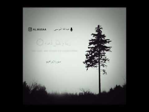 حالات واتساب دينية قرآن كريم بصوت القارئ عبدالله الموسى