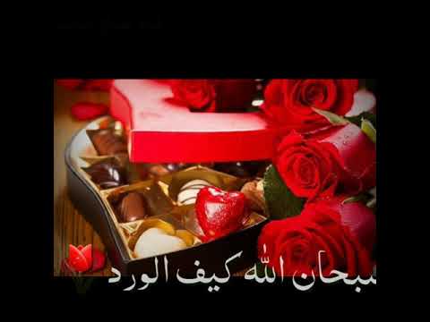 حالة عيد الحب بنص شباط بعز برد تصميم قناة عشاق الحب