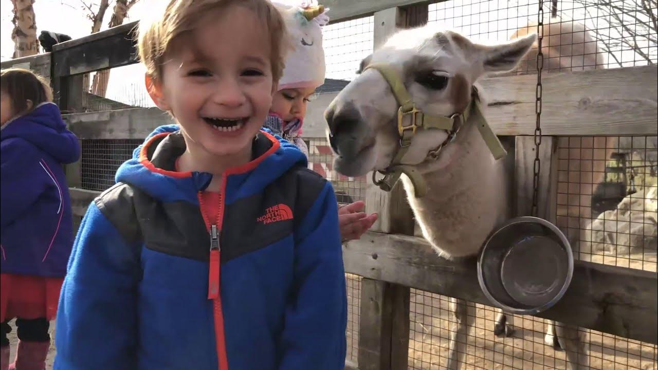 Funshine Treehouse Zoo Preschool at Randall Oaks Zoo Preview YouTube
