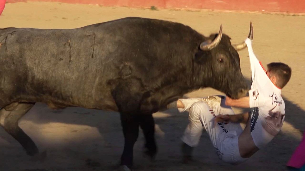 БЫК НЕ ПРОЩАЕТ… ОН ПОЙМАЛ ЕГО НА АРЕНЕ!