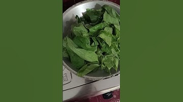 keindahan di perkampungan gulai daun singkong rebus daun singkong cocol terasi