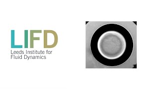 Bubble dynamics in complex fluids - Valeria Garbin screenshot 5