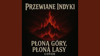 Płoną góry, płoną lasy