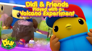 Didi \u0026 Friends Played with a Volcano Experiment | Didi \u0026 Friends Play and Learn