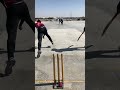 Tennis ball cricket