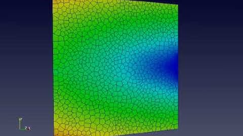 Intergranular crack propagation