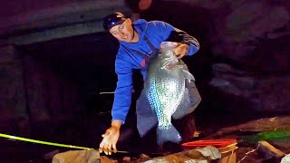 Catching MONSTER CRAPPIE Fishing Bridges At NIGHT!! (LOADED)