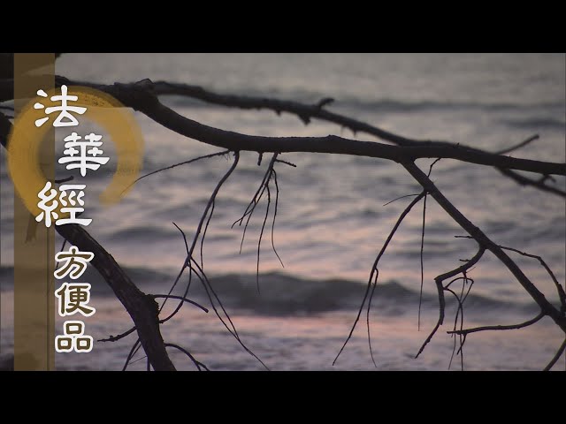 靜思妙蓮華】法華經方便品- 人壽短暫及時修行- 20200520 第298集