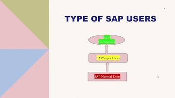 02 - Type of Users in SAP # Who Can Learn SAP