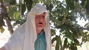 عامر جبو سورة الشرح